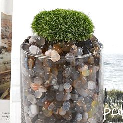 Окрашенные и нагретые натуральные бусины из агата&nbsp;G-J402-04B-04