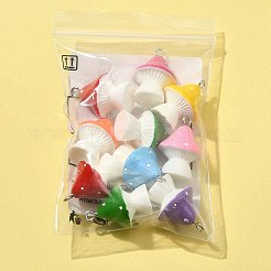 Подвески из непрозрачной смолы 10 шт.&nbsp;RESI-FS0001-61