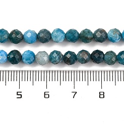 Природного апатита нитей бисера X-G-F770-C02-02