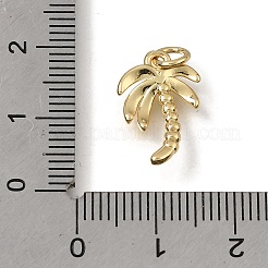 Messing Anhänger & Charms&nbsp;KK-C262-40G