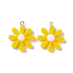 Подвески из непрозрачной смолы&nbsp;RESI-G046-21P