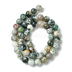 Естественно агат драгоценный камень бисер круглый пряди&nbsp;X-G-R255-8mm