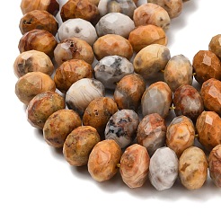 Природные сумасшедший агат бисер нитей&nbsp;G-C259-A04-6x10mm