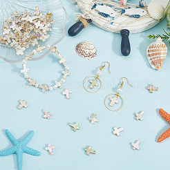 Нити строковые бусины из натуральных пресноводных ракушек BSHE-PA0001-01