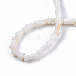 Нити бусин из натуральных пресноводных ракушек SHEL-N026-213