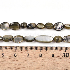 Нити бусин из натуральной белой ракушки SHEL-N036-21A