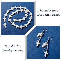 1 нить натуральных бусин из ракушек трохид/трохус&nbsp;SSHEL-GA0001-17
