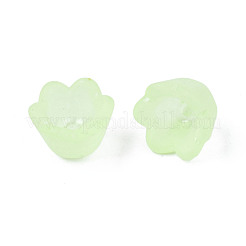 Прозрачные акриловые бусины&nbsp;X-FACR-N005-001