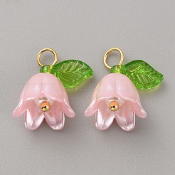 Charms in acrilico&nbsp;LS-KY-TAC0009-03C