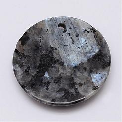 Природные подвески лабрадорита&nbsp;G-G647-46