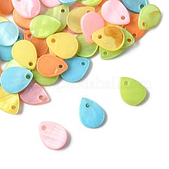 56 шт. подвески-слезинки из натуральных пресноводных ракушек SHEL-FS0001-12