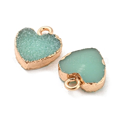 Harz mit goldenen Charms aus Zinklegierung&nbsp;LS-RESI-CJC0009-04D