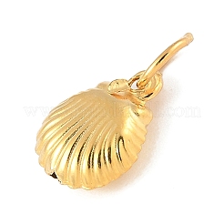 Подвески из чистого серебра в форме полых ракушек с соединительными кольцами&nbsp;LS-STER-R013-02G