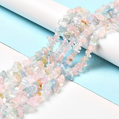 Природные морганит нитей бисера G-F716-02