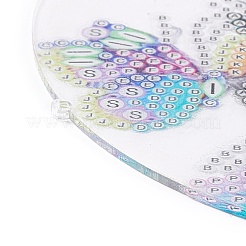 Pittura diamante fai da te appeso rete/rete intrecciata con kit pendenti di piume&nbsp;DIY-I084-11
