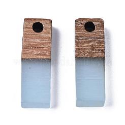 Pendentifs en bois de résine et de noyer&nbsp;RESI-S358-19E