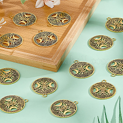 20 pendentif creux en alliage de style tibétain&nbsp;FIND-LP0001-93AG