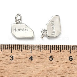 Messing Anhänger & Charms&nbsp;KK-D229-22M-P