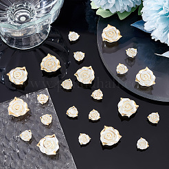 160 шт. 2 стиля бусины из АБС-пластика с имитацией жемчуга KY-AR0001-14