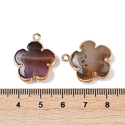 Natur-Achat-Anhänger&nbsp;G-P566-01G-02
