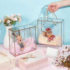 20 boîte cadeau transparente en plastique pour animaux de compagnie&nbsp;AJEW-BC0009-80A