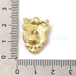 Подвески из сплава&nbsp;X-PALLOY-K017-01G