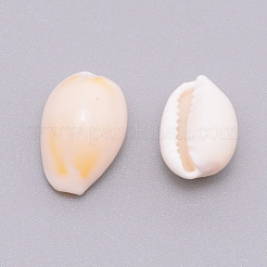 Бусины из натуральных раковин каури&nbsp;SSHEL-WH0001-31