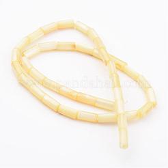 Conchiglia naturale fili di perle&nbsp;BSHE-P012-M