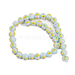 Бусины из стеклянной эмали LAMP-R004-05B