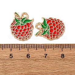 Подвески из эмалевой смеси с фруктами&nbsp;FIND-D304-03K-KCG