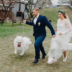 Бархатные стразы съемная коробка для свадебных колец для домашних животных RDIS-WH0019-08C