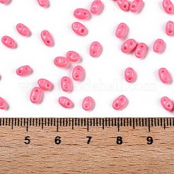 Perles de rocaille en verre&nbsp;SEED-T006-03P