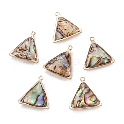 Природные пауа оболочки подвески&nbsp;KK-K252-07G-02