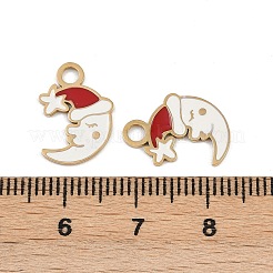 Подвески из нержавеющей стали 304 с эмалью&nbsp;STAS-G357-01G-05