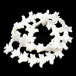 Нити бусин из натуральных трохоидных/трохус ракушек SSHEL-R145-04