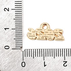 Emaille Anhänger Legierung&nbsp;ENAM-D319-01KCG-04