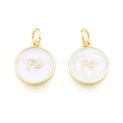 Messing Emaille Anhänger / charms&nbsp;KK-N227-138