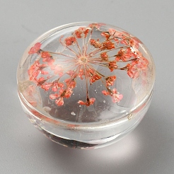 クリアガラスカボション  中にプリザーブドフラワーが入った  半円/ドーム  ファイヤーブリック  20x16mm&nbsp;GLAA-WH0039-19G