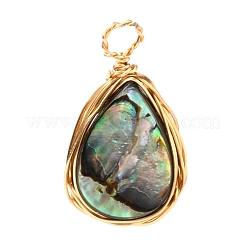 Подвески из натурального ушка / ракушки&nbsp;PALLOY-JF00475-01