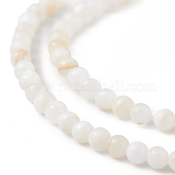 125шт натуральные пресноводные бусины из ракушек SHEL-B002-01F