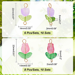 20 набор из 2 стилей подвесок-коннекторов в стиле лэмпворк ручной работы&nbsp;FIND-PH0017-40