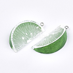 Подвески из смолы&nbsp;LS-X-RESI-T028-56A