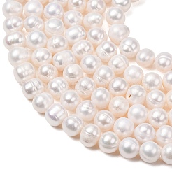 Fili di perle di perle d'acqua dolce coltivate naturali&nbsp;PA-CBABE82-04