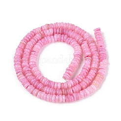 Eau douce naturelle de coquillage perles brins&nbsp;SHEL-Q028-01E