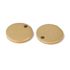 Breloques en acier inoxydable 304&nbsp;STAS-Q308-09G-G