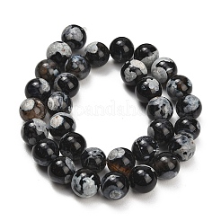 Natürliche Feuer Crackle Achat (gefärbt und erhitzt) Perlen Stränge&nbsp;G-K425-A09-12mm