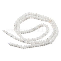 Бусины из натурального радужного лунного камня G-G0005-D02