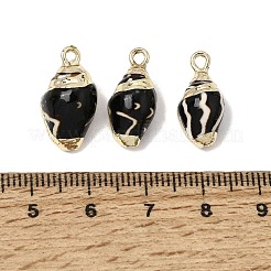 真鍮＆ナチュラルシェルペンダント  巻き貝の形をしたチャーム  金メッキエッジ付き  ブラック  18~19.5x9~9.5x7.5~9mm  穴：1.6mm&nbsp;SH-CBA27C9-13