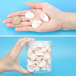 Shell perle naturali&nbsp;SSHEL-PH0001-07