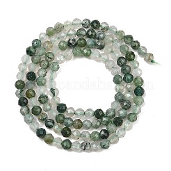 Natur Moos Achat Perlen Stränge&nbsp;G-J002-03H-A